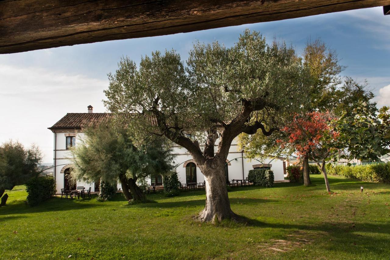 Villa Coralia Agriturismo Osimo Exterior photo
